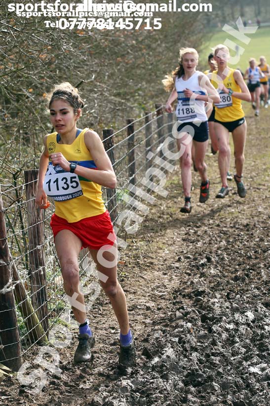 Senior women, 2020 British Athletics Inter Counties Cross Country Champs., Prestwold Hall, Loughborough. Photo: David T. Hewitson/Sports for All Pics